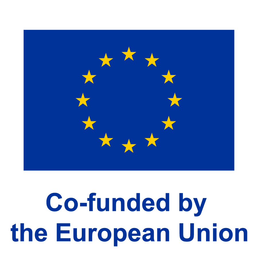 🇪🇺 and co-funding statement